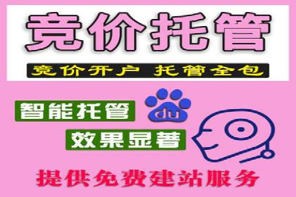 百度竞价，网络创业者的赚钱利器——案例解析